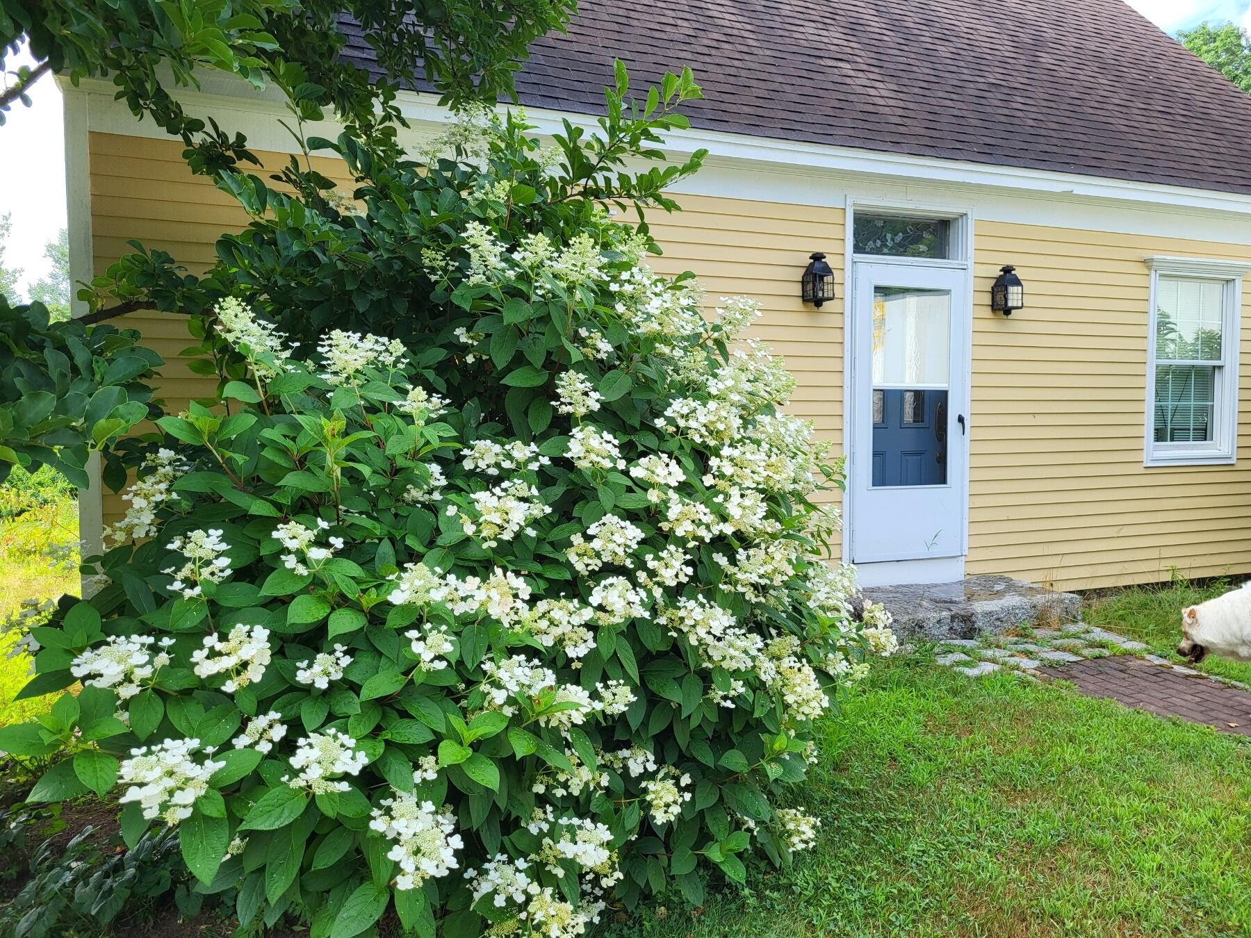 999 Alewive Road Kennebunk, ME 04043 - Photo 45 of 50 F4