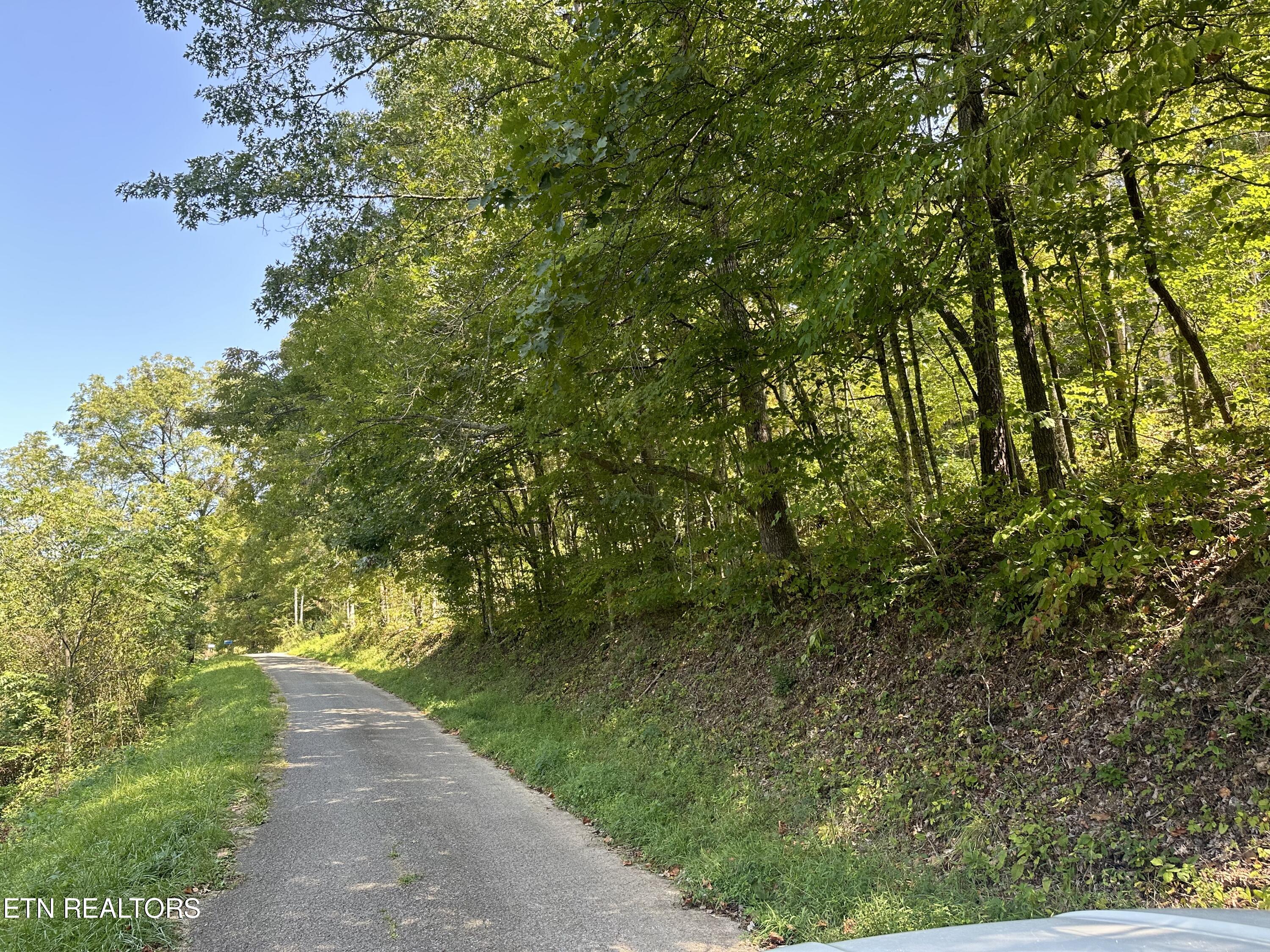 Low Gap Road La Follette, TN 37766 - Photo 1 of 6 IMG_4999