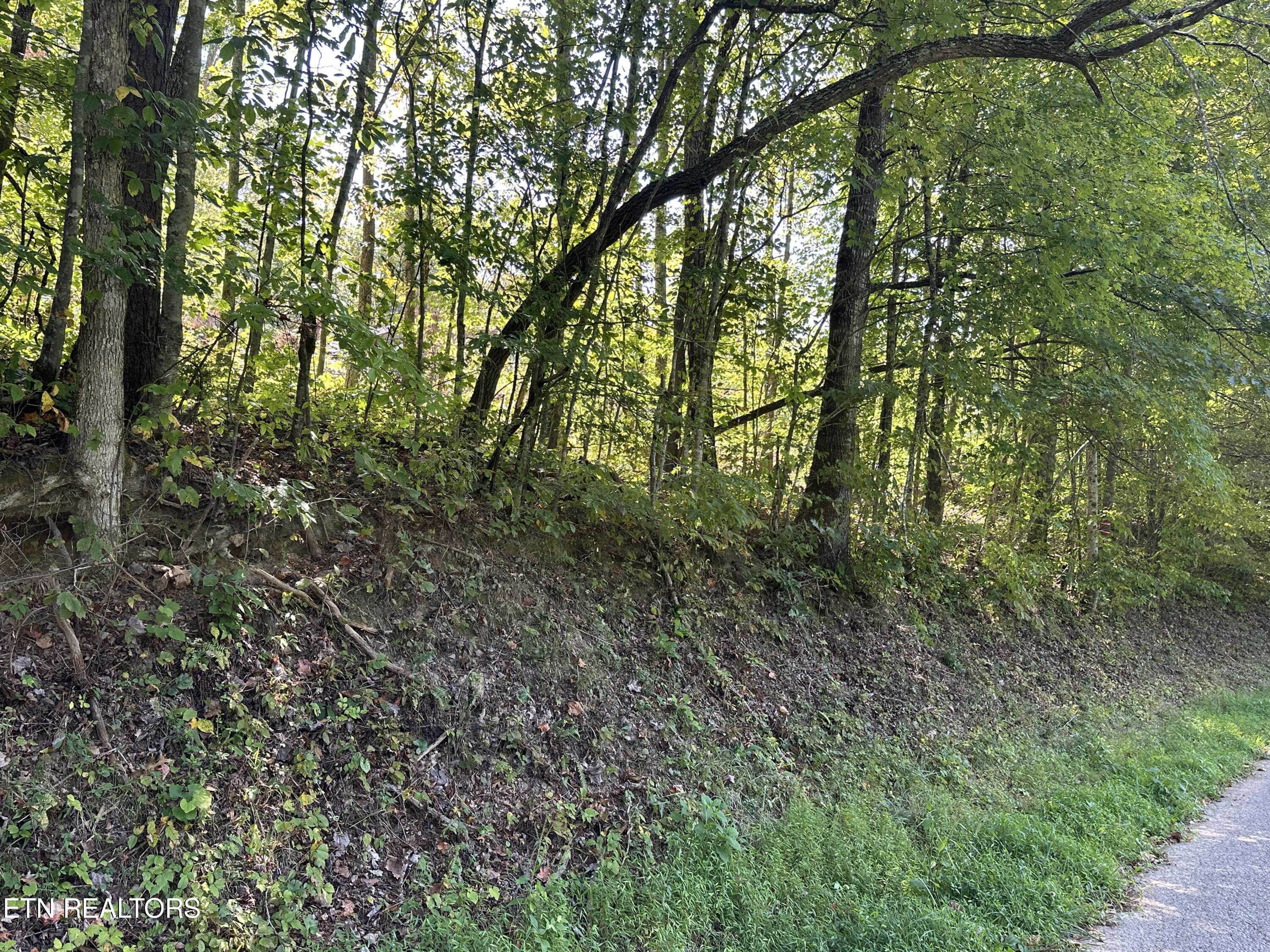 Low Gap Road La Follette, TN 37766 - Photo 6 of 6 IMG_5007