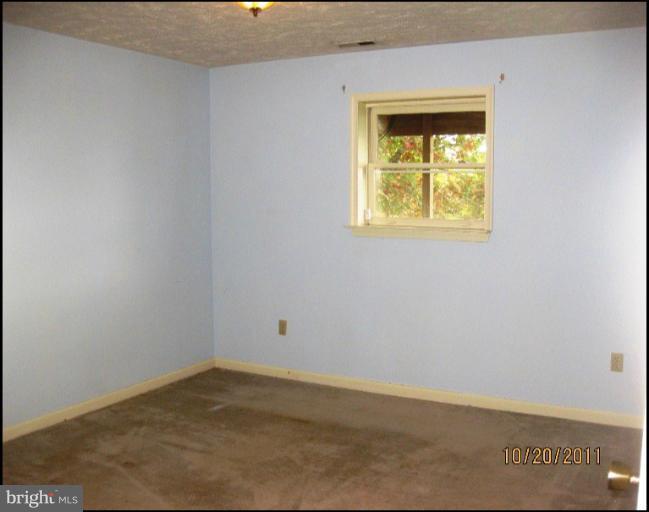 Basement- Den