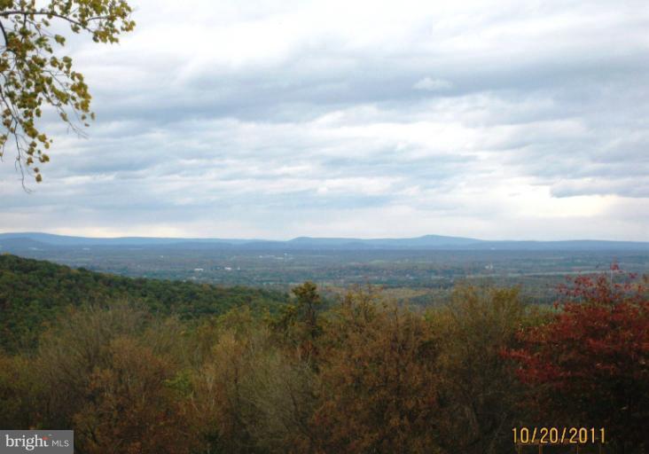 886 Granny Smith Road Linden, VA 22642 - Photo 3 of 21 View