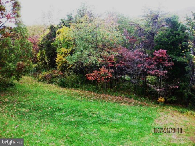 886 Granny Smith Road Linden, VA 22642 - Photo 8 of 21 Exterior (Rear)