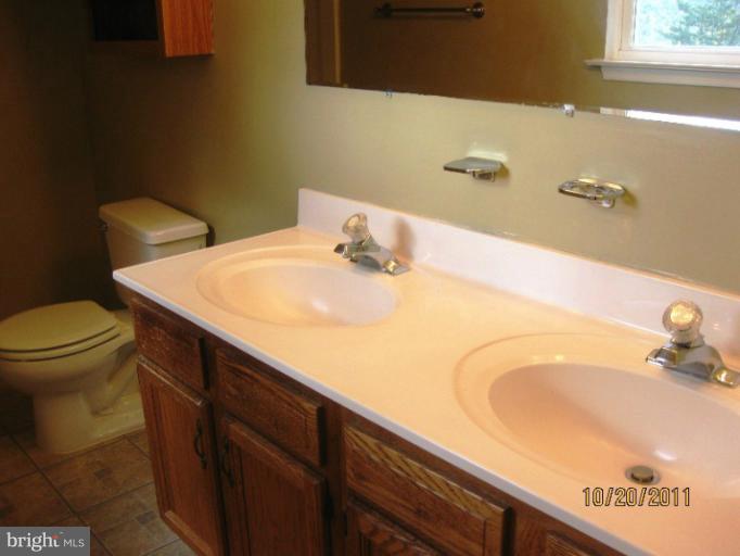886 Granny Smith Road Linden, VA 22642 - Photo 10 of 21 Bath (Master)