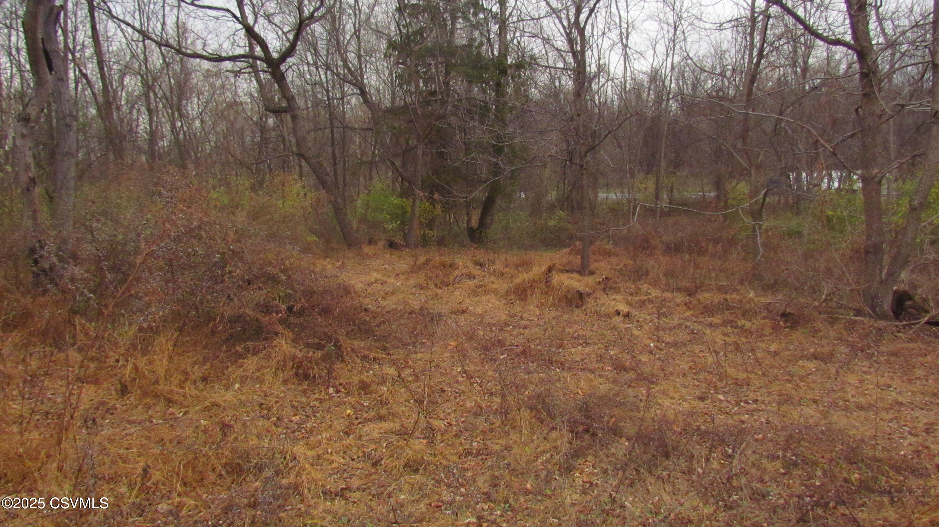 0 Golf Course Road Milton, PA 17847 - Photo 13 of 19