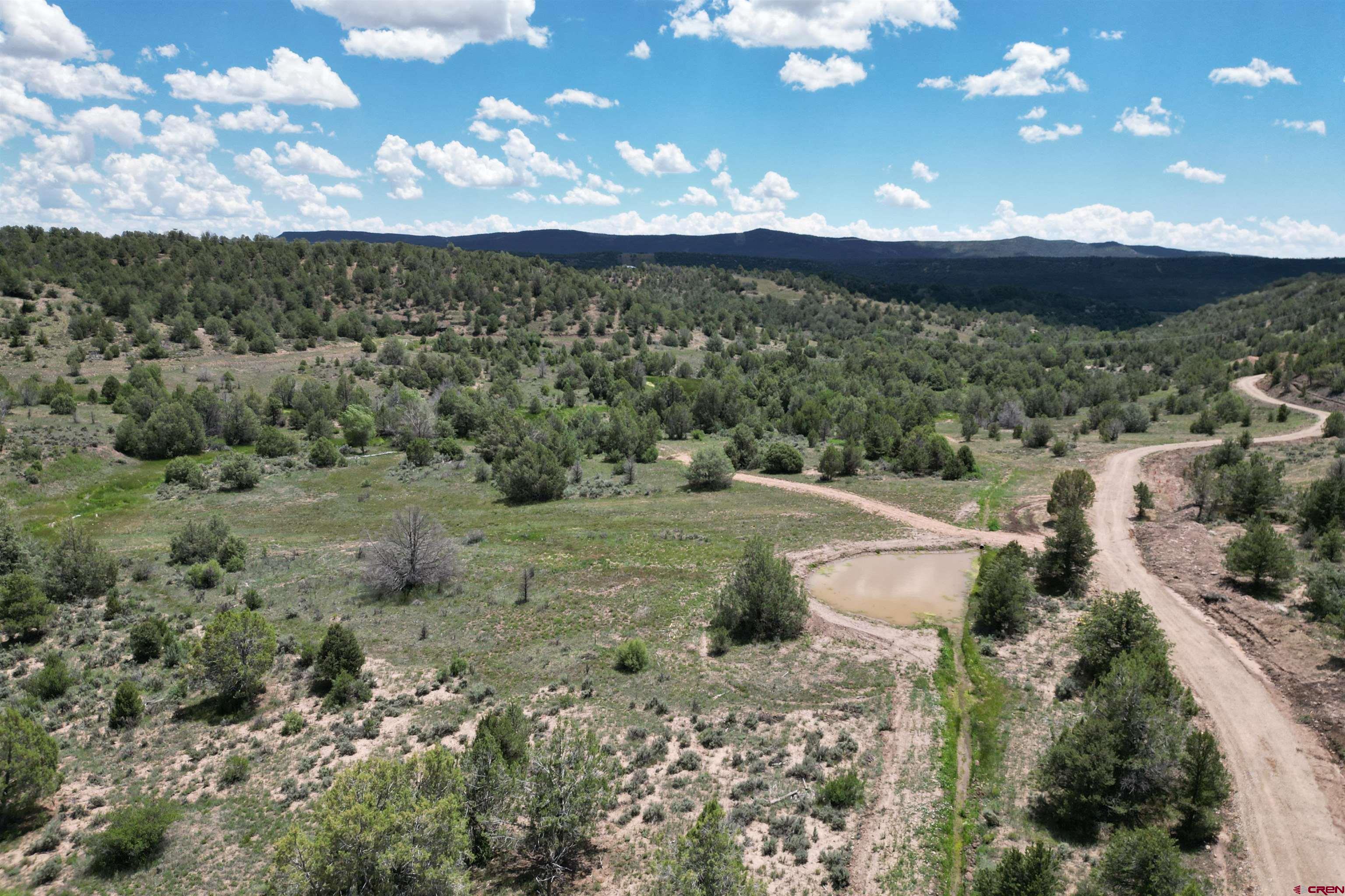 281 Oasis Vly Road Durango, CO 81303 - Photo 1 of 35 Gallery Image 1