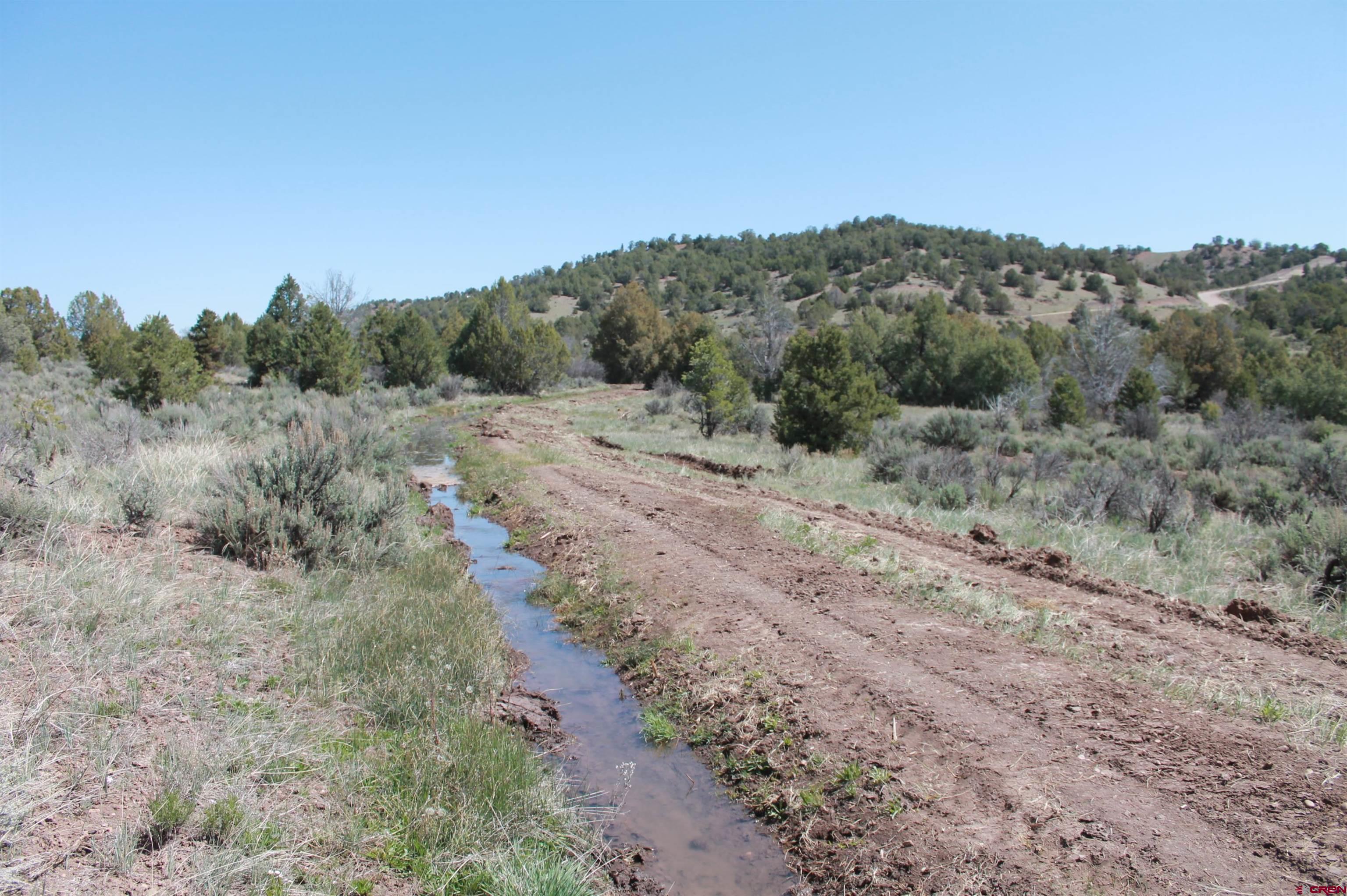 281 Oasis Vly Road Durango, CO 81303 - Photo 11 of 35 Gallery Image 11