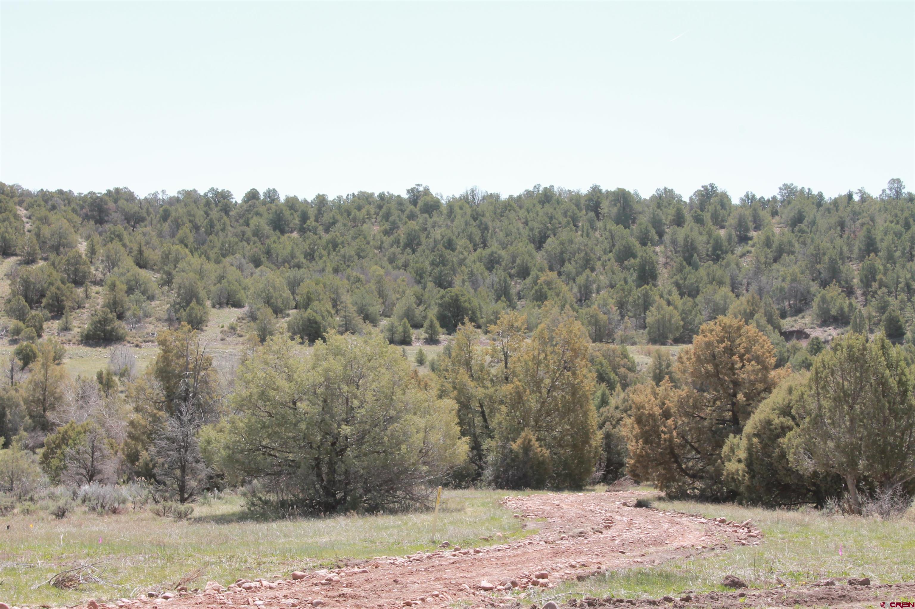 281 Oasis Vly Road Durango, CO 81303 - Photo 13 of 35 Gallery Image 13