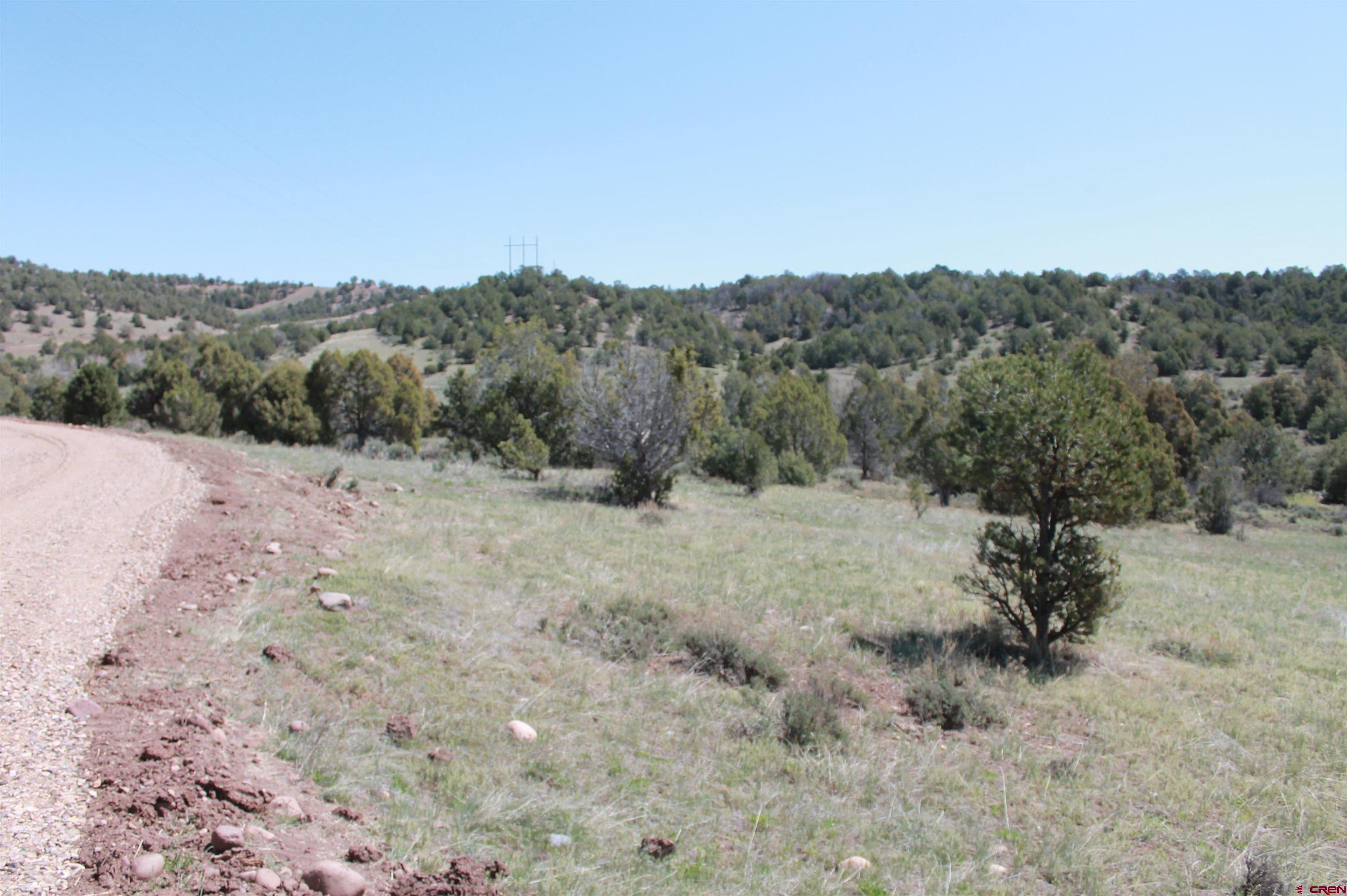 281 Oasis Vly Road Durango, CO 81303 - Photo 19 of 35 Gallery Image 19