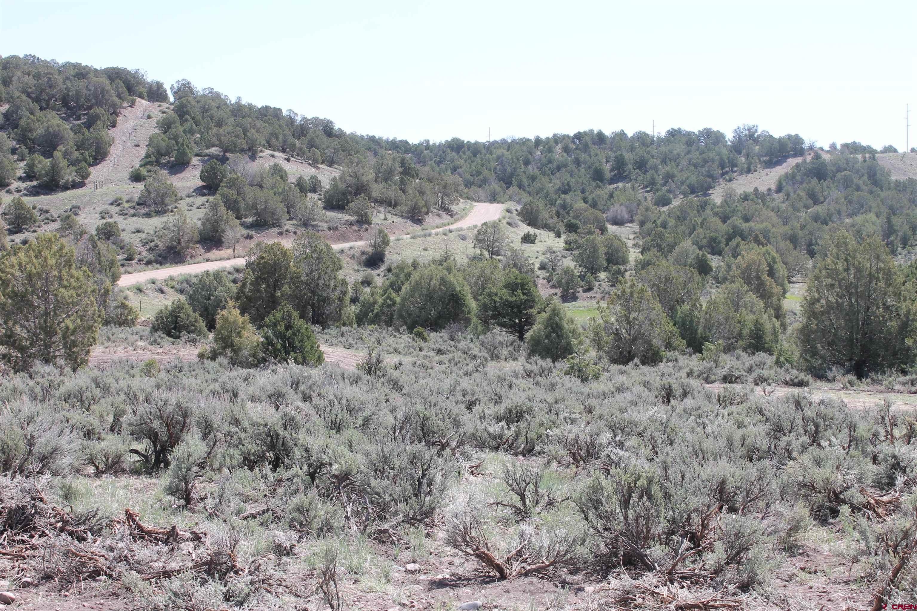 281 Oasis Vly Road Durango, CO 81303 - Photo 21 of 35 Gallery Image 21