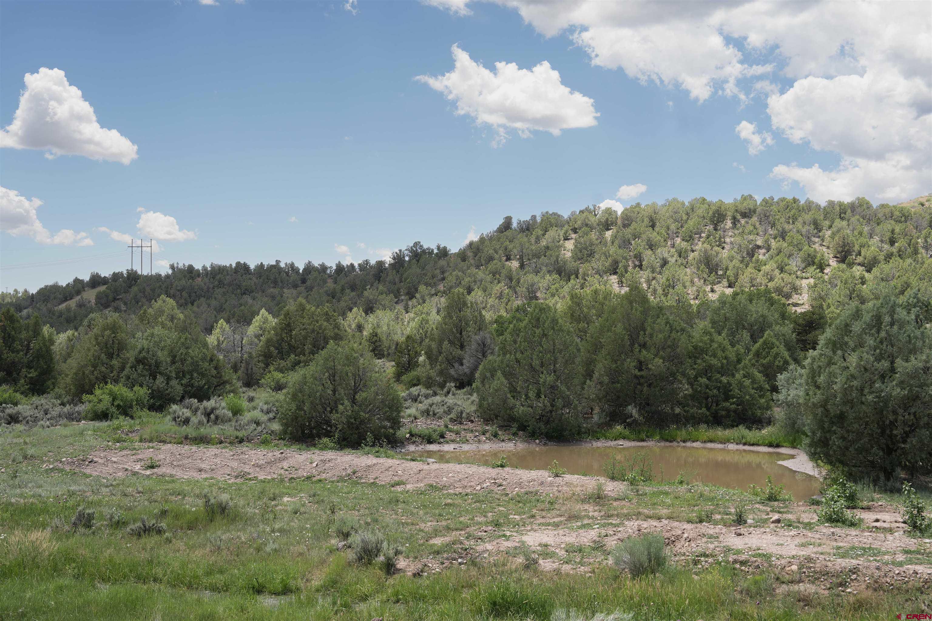 281 Oasis Vly Road Durango, CO 81303 - Photo 6 of 35 Gallery Image 6