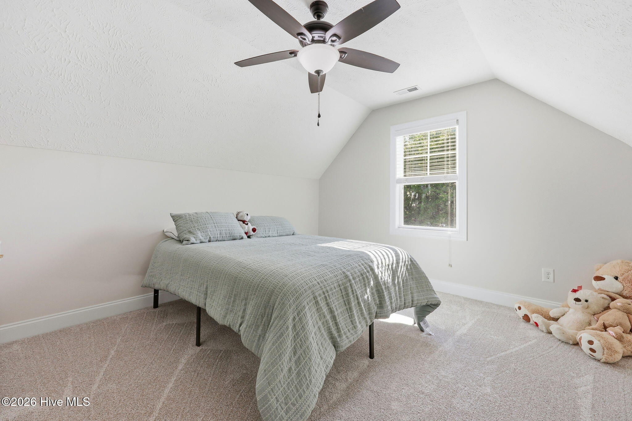 225 Dicks Hill Road Carthage, NC 28327 - Photo 27 of 51 36-web-or-mls-IMG_1694