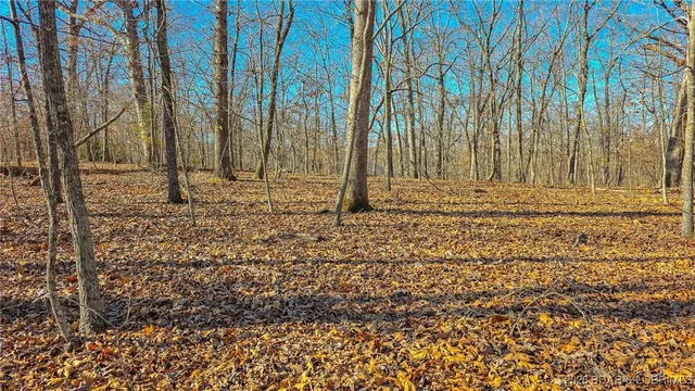 $27,000 | Lot #455 Grand View Drive, Sunrise Beach, MO 65079
