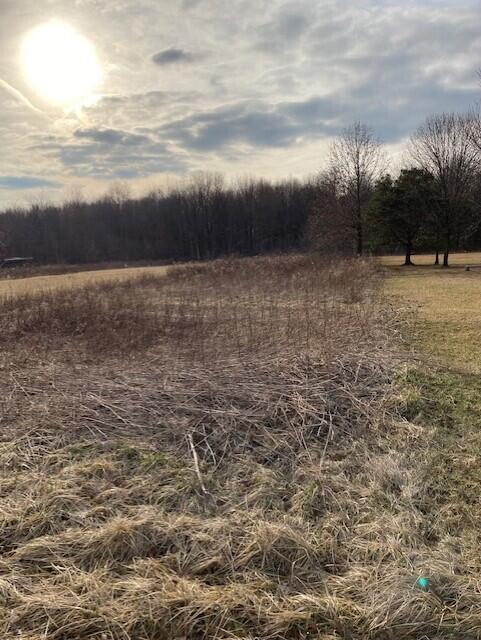 0 Lane Road Centerburg, OH 43011 - Photo 2 of 3 thumbnail_IMG_4722
