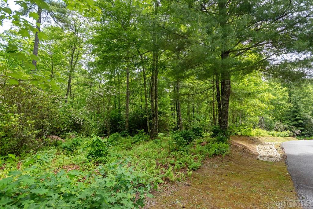 Lot 39 Covered Bridge Road Cullowhee, NC 28723 - Photo 9 of 26 Gallery Image 9