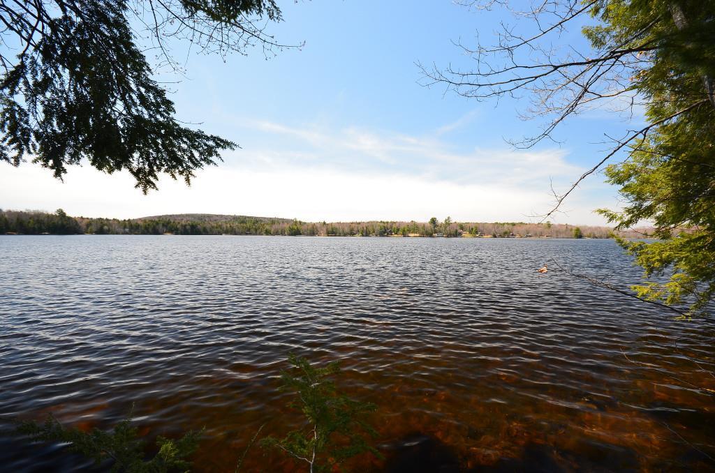 L1 Houston Road Lincoln, ME 04457 - Photo 1 of 11 Photo