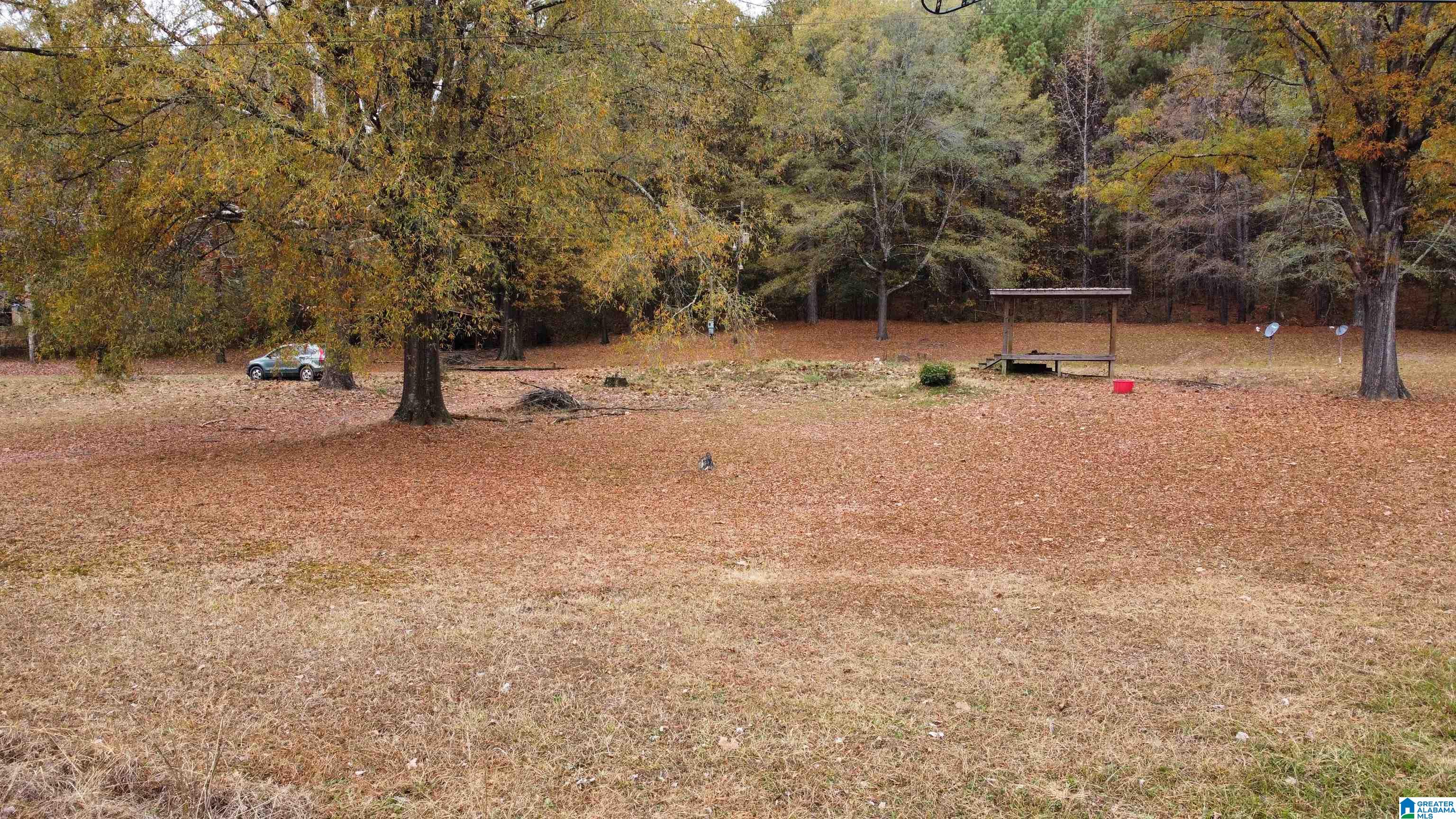 385 Jackson Street, Unit 385 Oakman, AL 35579 - Photo 1 of 19