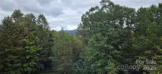 an aerial view of residential house with outdoor space and trees all around