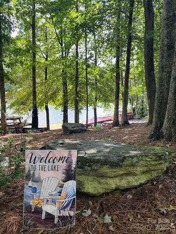 a view of a park that has large trees