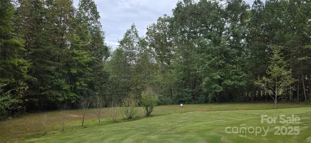 a view of a field with a trees
