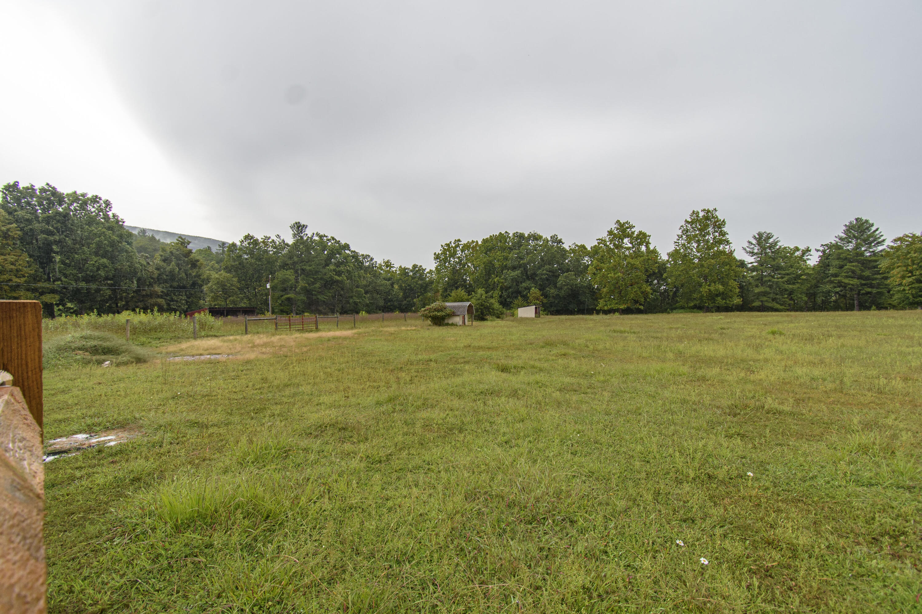 7083 Foxfire Road Catawba, VA 24070 - Photo 118 of 131 Foxfire_24