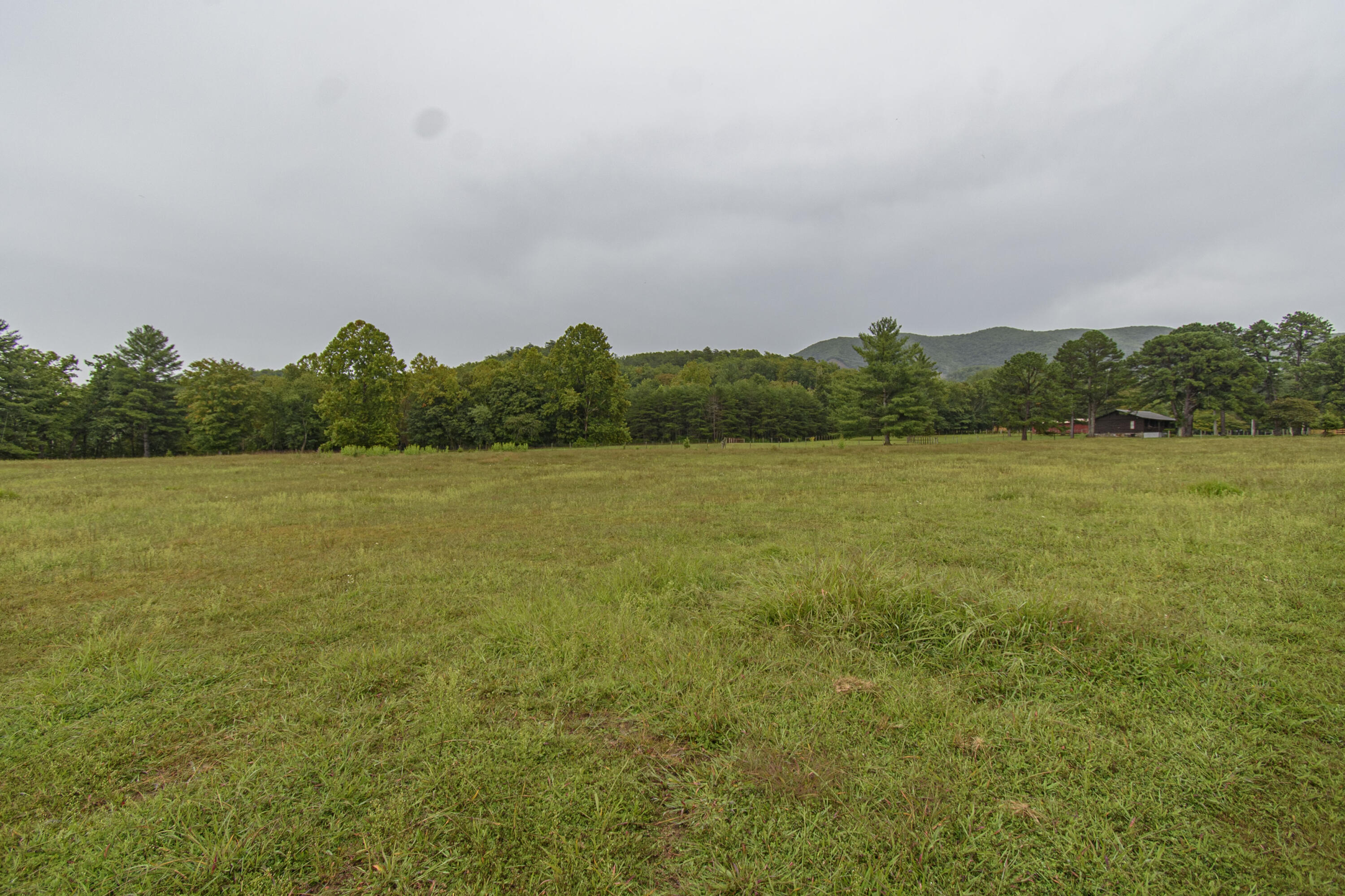 7083 Foxfire Road Catawba, VA 24070 - Photo 119 of 131 Foxfire_25