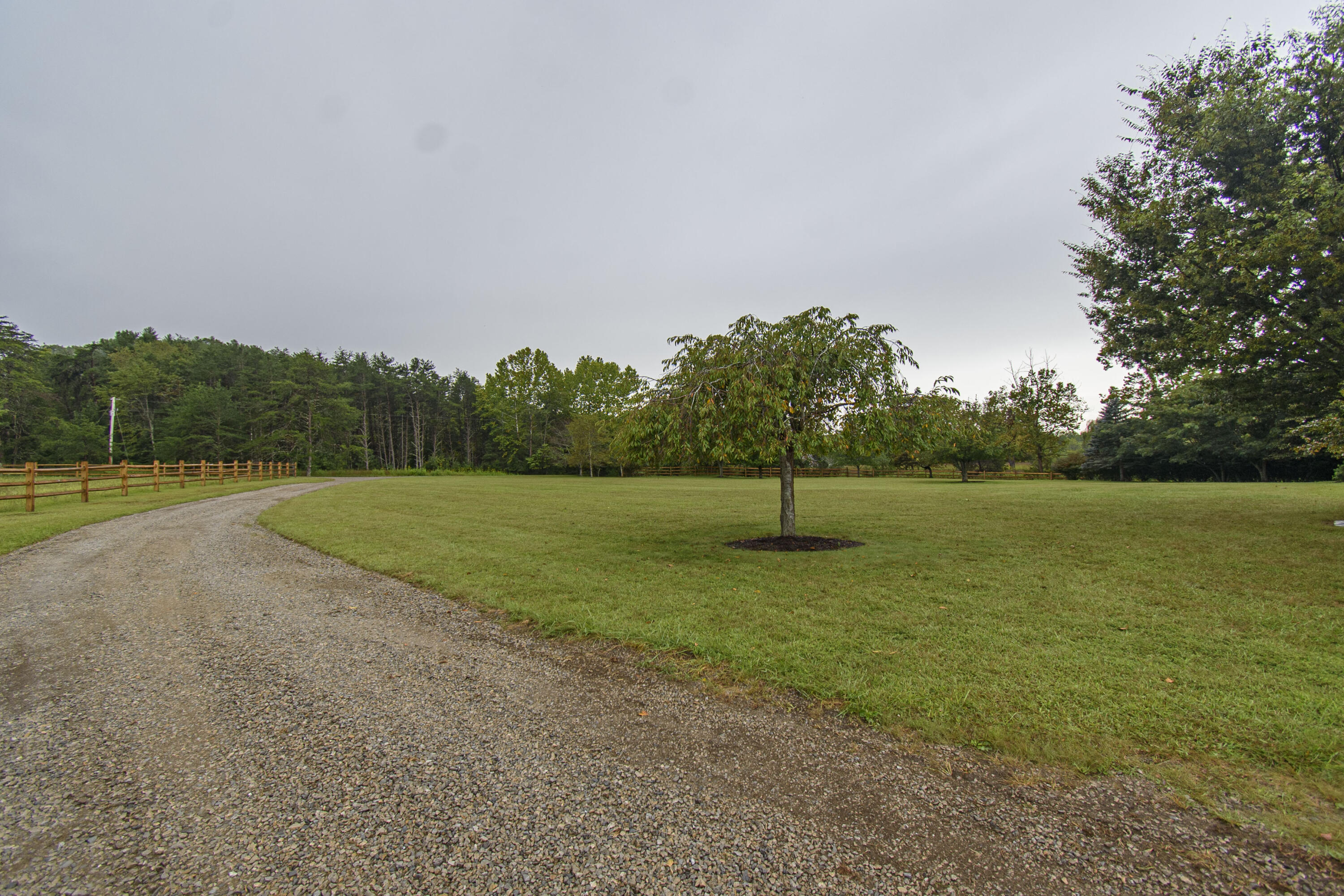 7083 Foxfire Road Catawba, VA 24070 - Photo 126 of 131 Foxfire_33