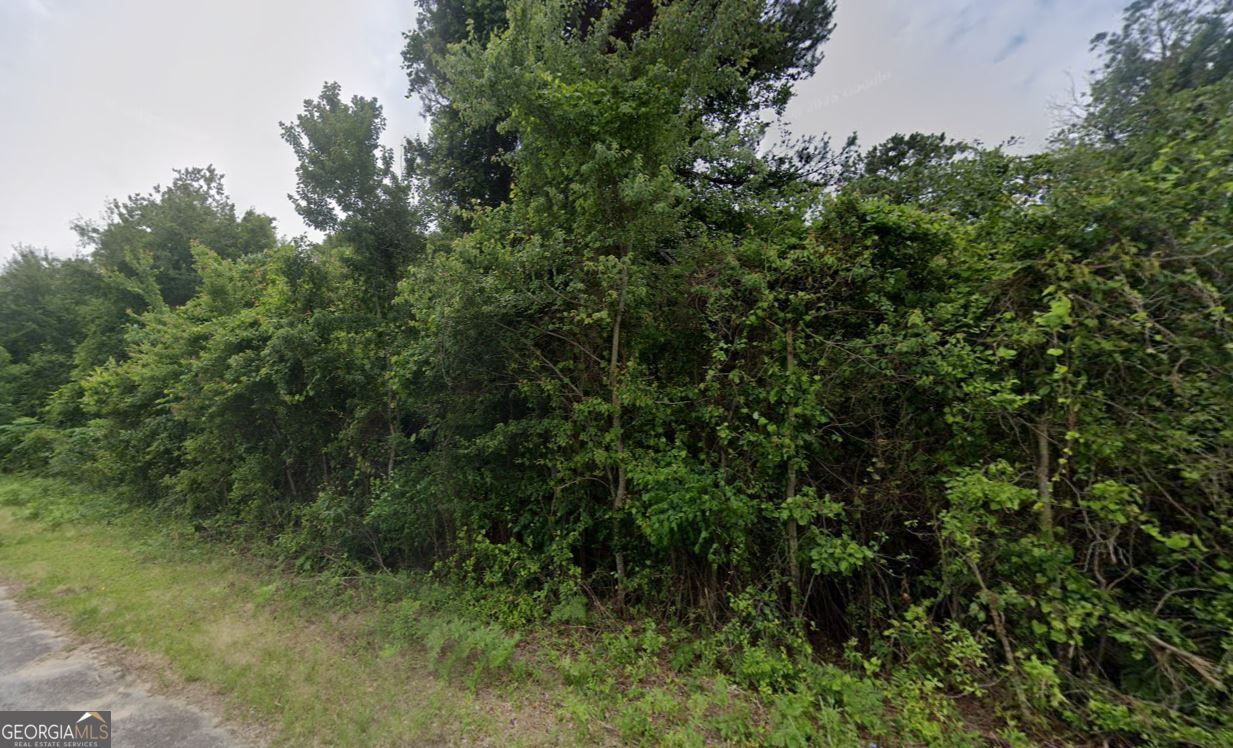 7072 Chant Road Lizella, GA 31052 - Photo 2 of 5