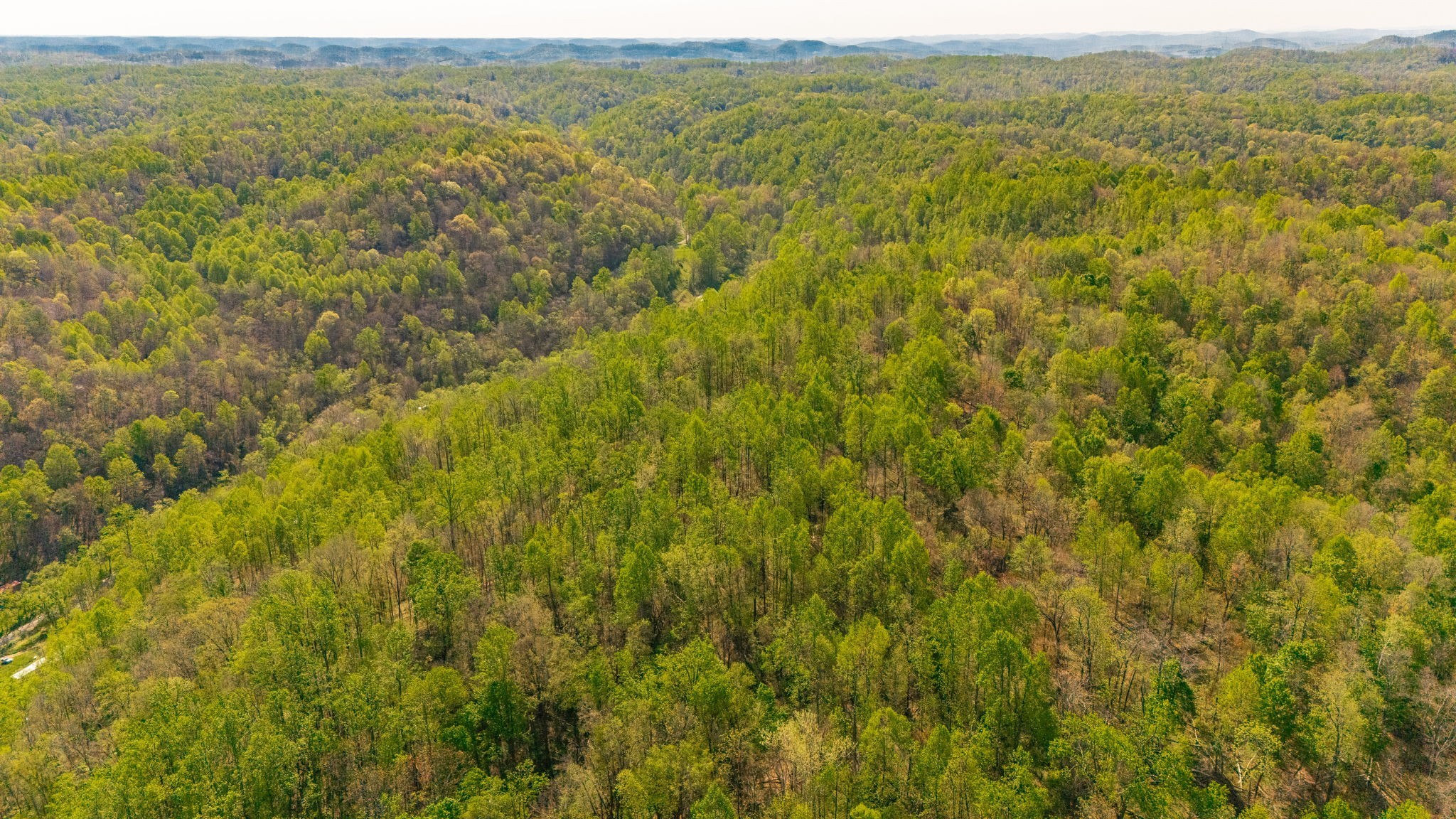 600 Leath Chapel Road Bethpage, TN 37022 - Photo 11 of 13