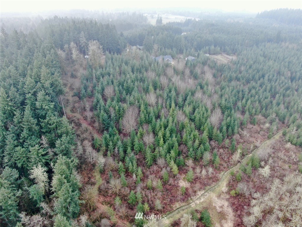 14730 Reeder Road Southwest Tenino, WA 98589 - Photo 1 of 10 a view of a forest with trees