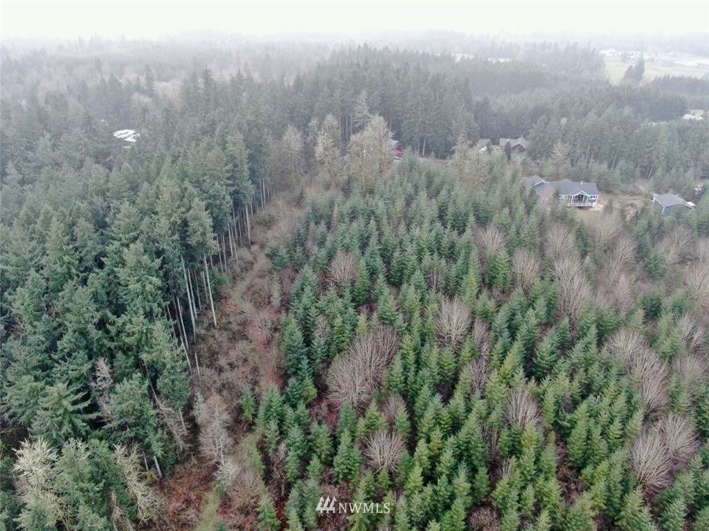 14730 Reeder Road Southwest Tenino, WA 98589 - Photo 3 of 10 a view of a forest with lush green forest