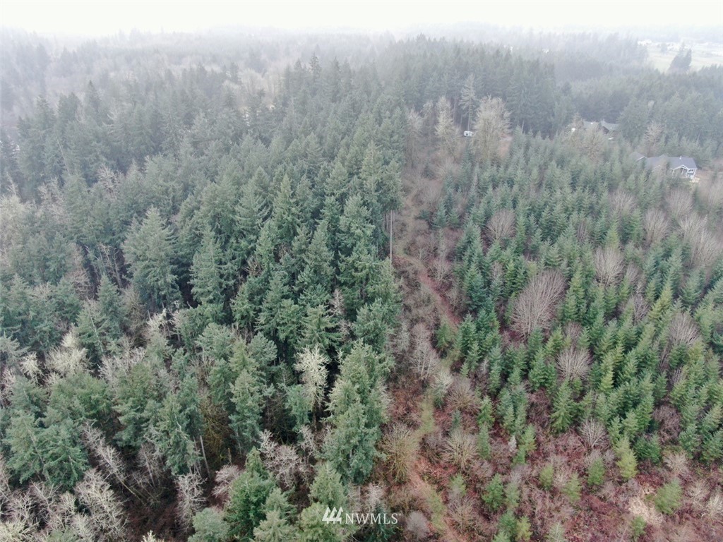 14730 Reeder Road Southwest Tenino, WA 98589 - Photo 4 of 10 a view of a forest with lots of trees