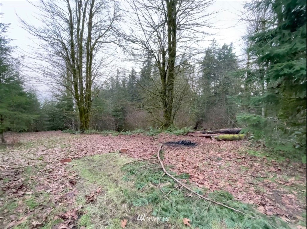 14730 Reeder Road Southwest Tenino, WA 98589 - Photo 5 of 10 a big yard with lots of green space
