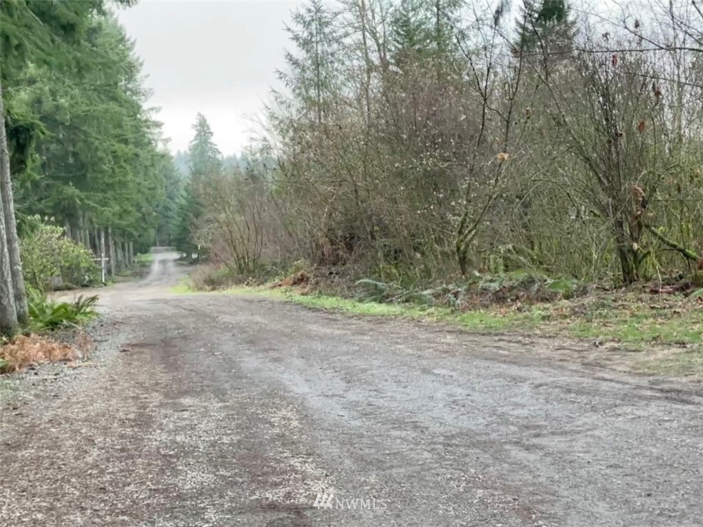 14730 Reeder Road Southwest Tenino, WA 98589 - Photo 6 of 10 a view of a yard with a tree