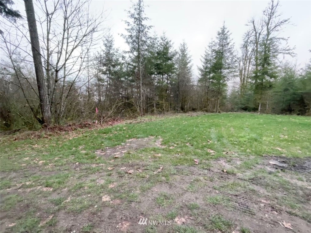 14730 Reeder Road Southwest Tenino, WA 98589 - Photo 7 of 10 a view of a field with trees in the background