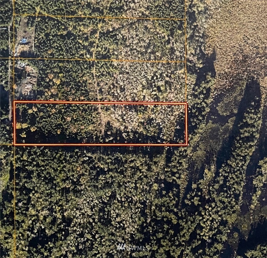14730 Reeder Road Southwest Tenino, WA 98589 - Photo 9 of 10 a view of a yard
