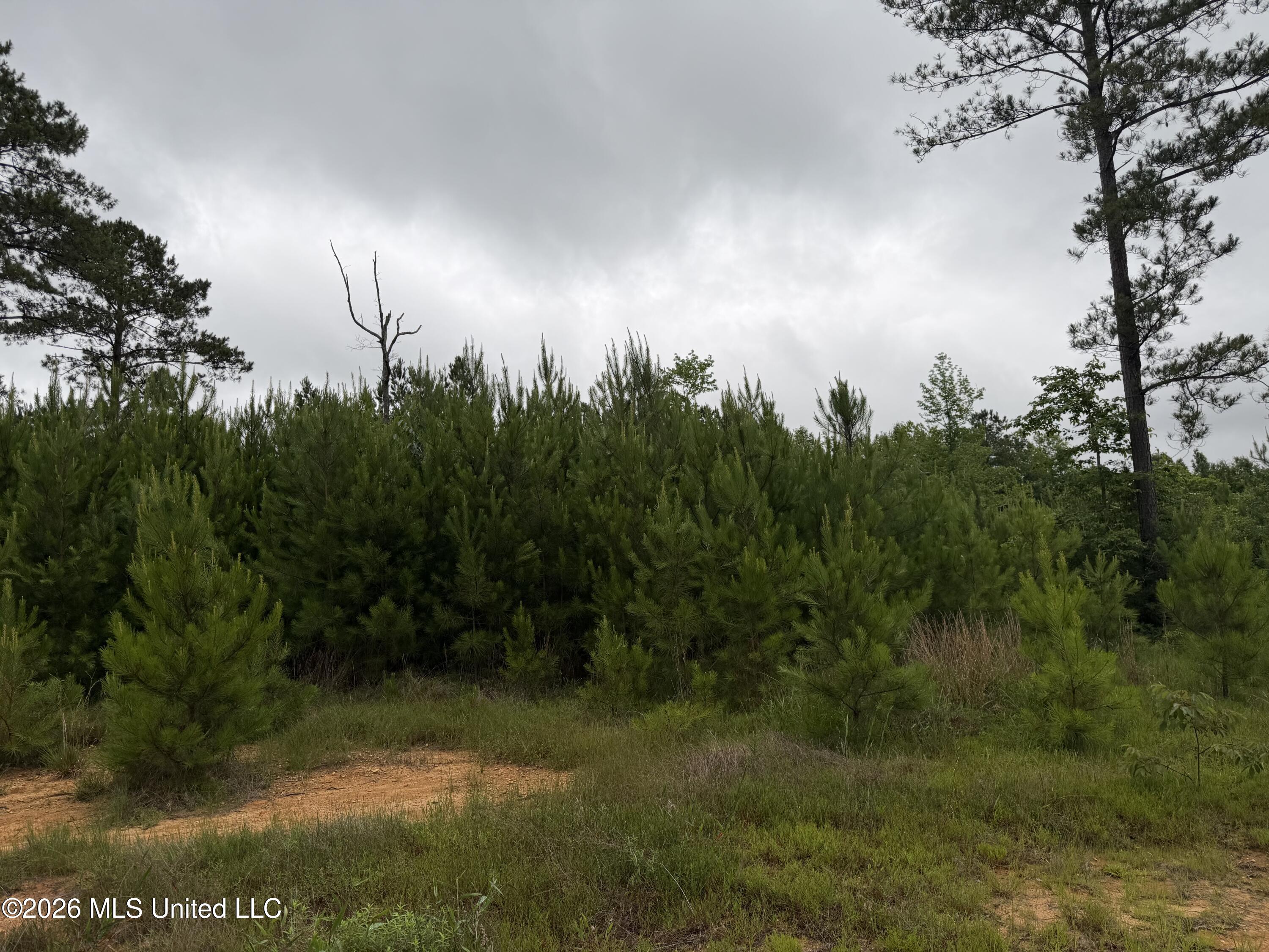 Shell Oil Rd Summit Ruth, MS 39662 - Photo 2 of 15 IMG_7280