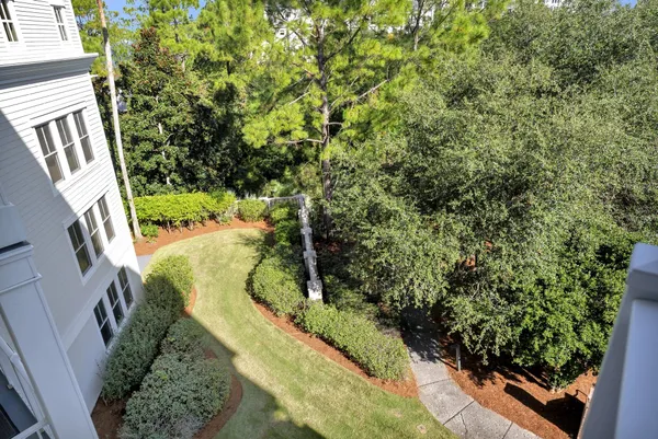 a view of a yard with potted plants
