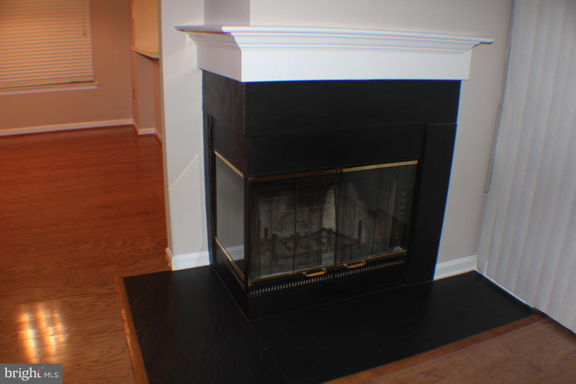 410 Ridgepoint Place, Unit 12 Gaithersburg, MD 20878 - Photo 23 of 24 Fireplace