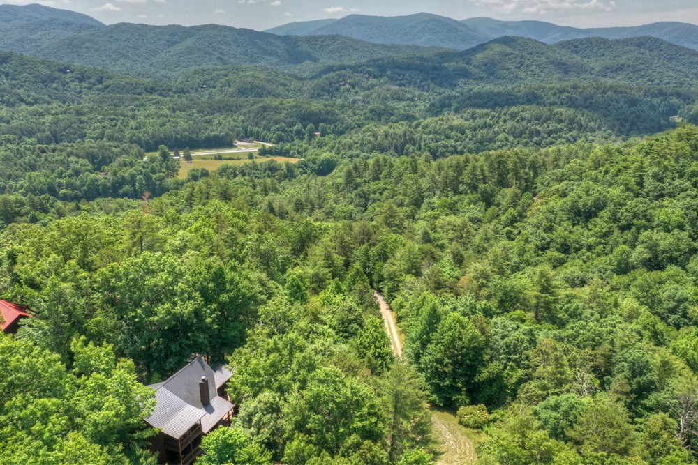 71 Tall Timber Mountain Way Blue Ridge, GA 30513 - Photo 63 of 70 Gallery Image 63