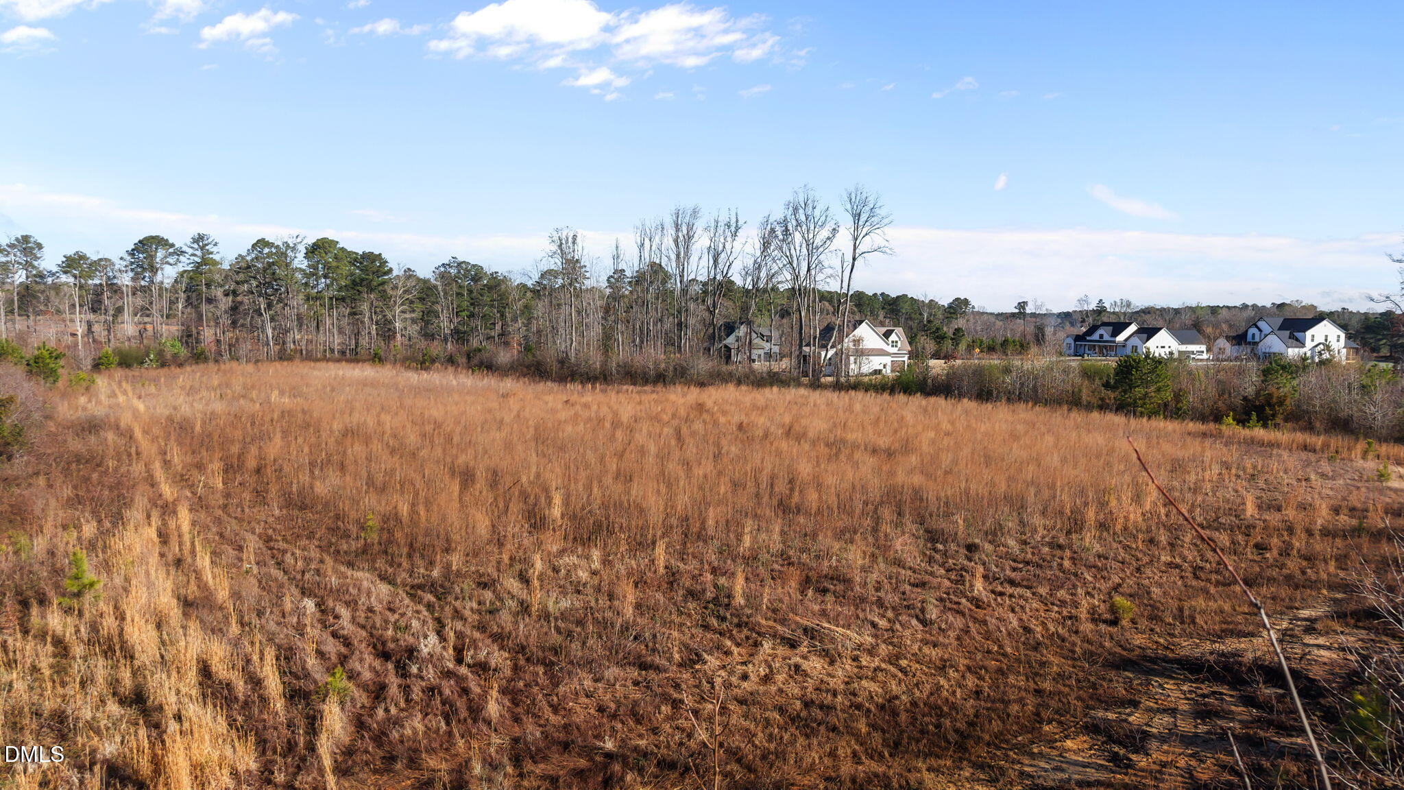 0 Dukes Lake Road Zebulon, NC 27597 - Photo 8 of 14