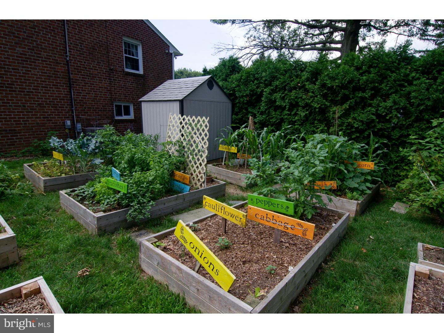 301 Valley View Road Springfield, PA 19064 - Photo 24 of 25 Garden