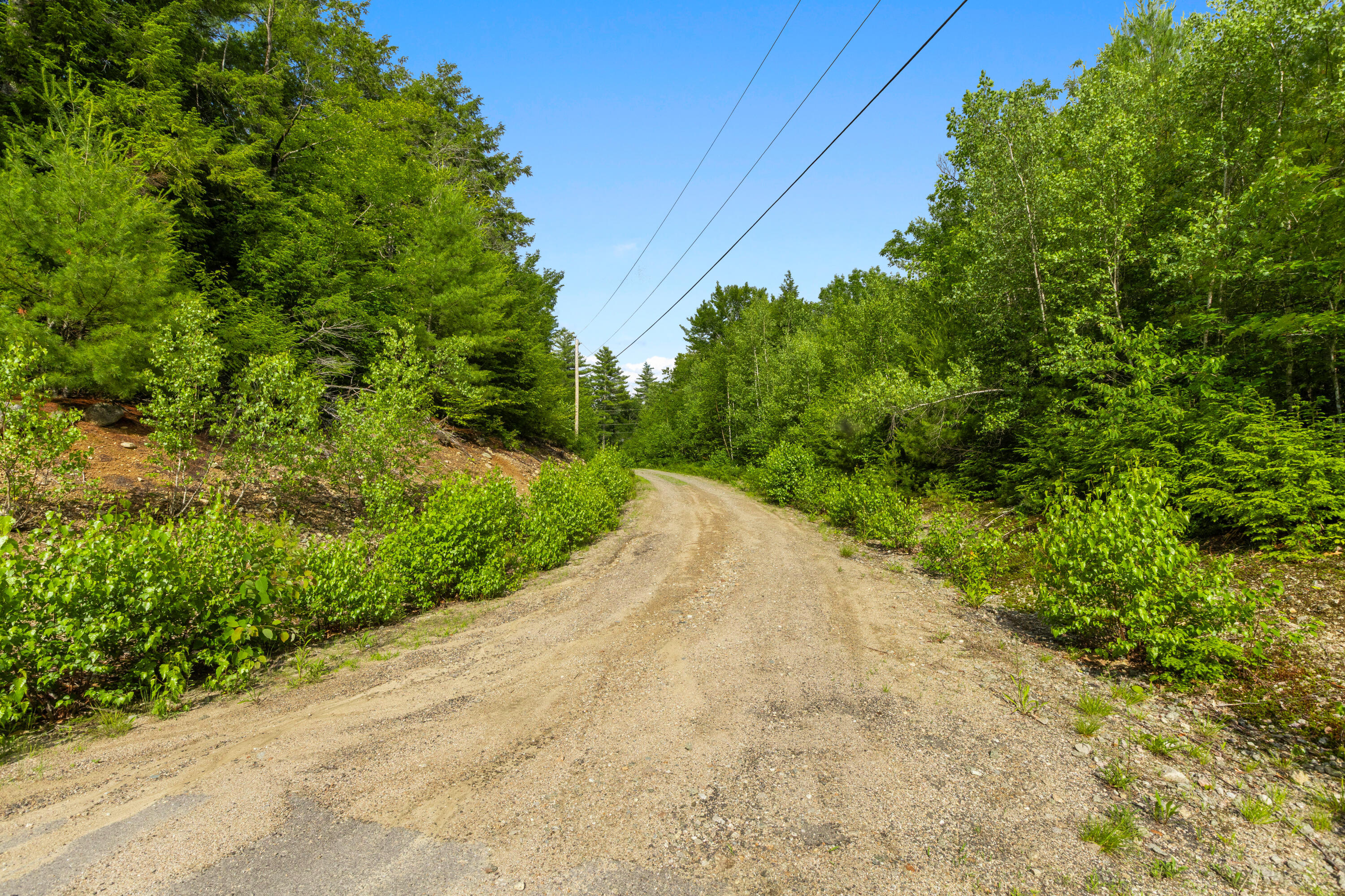 Map13-lot11 Field View Road Fryeburg, ME 04037 - Photo 8 of 49 ED2A6807 Tim Monahan (1)