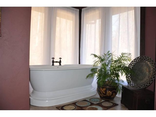 1550 Scout Road Blue Ridge, VA 24064 - Photo 16 of 52 a bathroom with a bathtub and potted plant
