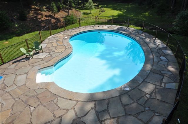1550 Scout Road Blue Ridge, VA 24064 - Photo 27 of 52 a view of a swimming pool with a yard and plants