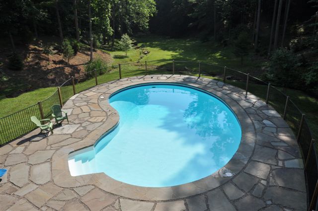 1550 Scout Road Blue Ridge, VA 24064 - Photo 28 of 52 a view of a swimming pool with a yard
