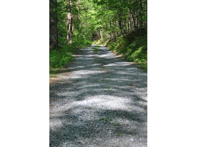 1550 Scout Road Blue Ridge, VA 24064 - Photo 47 of 52 a picture of a small yard