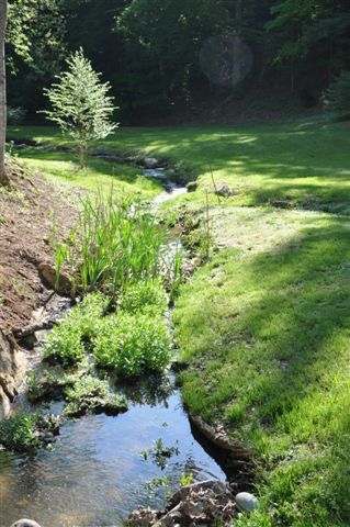 1550 Scout Road Blue Ridge, VA 24064 - Photo 51 of 52 a view of a garden with an outdoor space