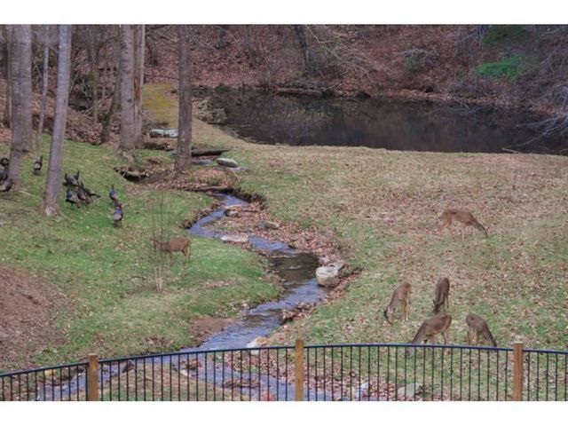 1550 Scout Road Blue Ridge, VA 24064 - Photo 52 of 52 a view of outdoor space and yard