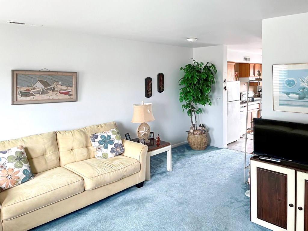 7181 Bunting Road Chincoteague Island, VA 23336 - Photo 22 of 72