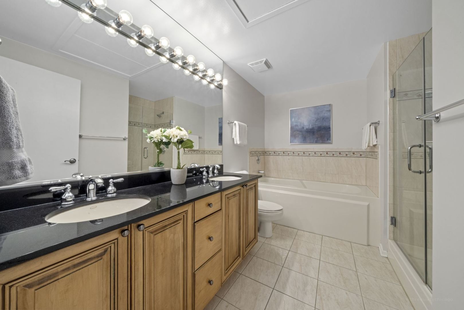 1530 South State Street, Unit 607 Chicago, IL 60605 - Photo 17 of 29 a bathroom with a granite countertop sink a large mirror and a bathtub with shower